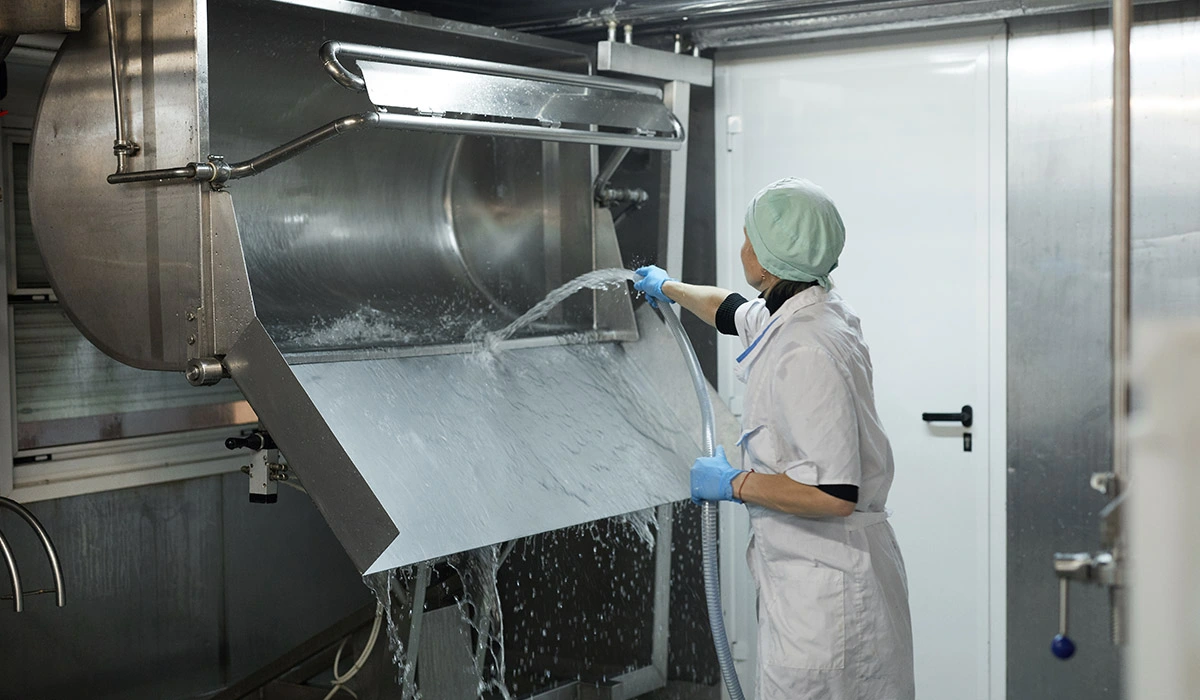 Büyükbaş Sakatat İşleme Makinaları